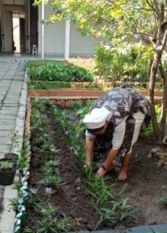 Sr Leonarda OSF
